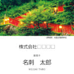 tuwano01_tate