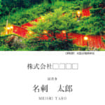 tuwano01_tate